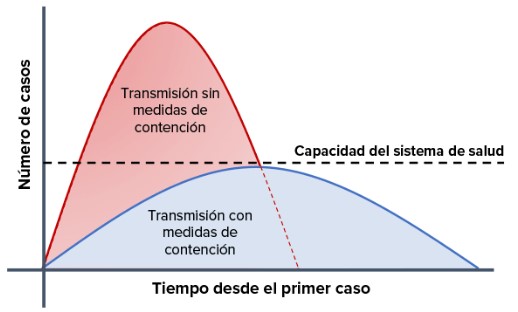 grafico sistema sanitario